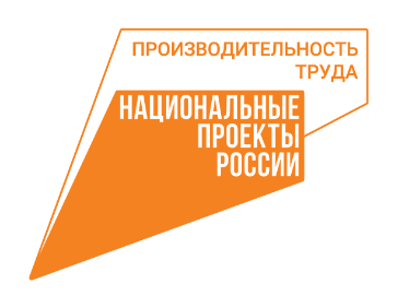 Федеральный проект «Производительность труда»