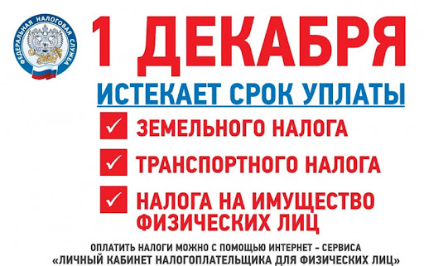 До 1 декабря 2021 года россиянам необходимо оплатить имущественные налоги: что нужно знать