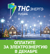«ТНС энерго Кубань»: старый долг – Новый год не красит!