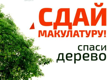Сдай макулатуру - спаси дерево!